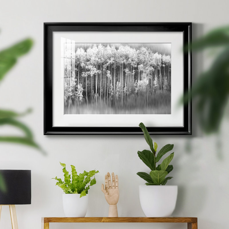 Dreamy Aspen - Photographie avec cadre photo, Noir, H 26,5 po x l 36,5 po x P 1,5 po