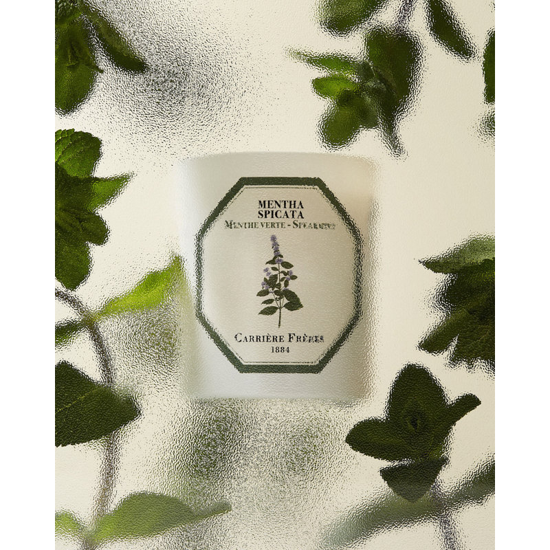 Spearmint Candle