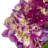 Hydrangea Arrangement in Vase