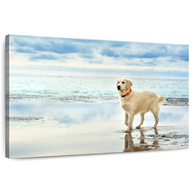Brampt Seafront Golden Retriever