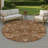 Machine Washable Indoor/Outdoor Chantille ACN2473 Global Rug-769965598-769965605