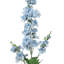 35 "Soft Touch Garden Delphinium -1487348028