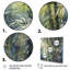 Impression sur toile Goldenray Green Floral Bamboo Bliss II-88525126-88525133