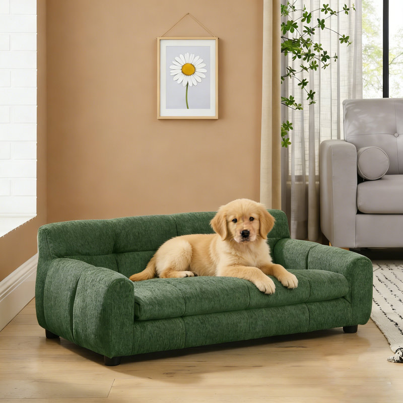 Causeuse moderne avec dossier et accoudoirs pour petits et moyens chiens, Vert