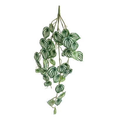 33 "feuilles de vigne en faux peperomia pour jardinières suspendues