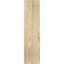 Legacy Craftsman Perspectives-109289861-112677212
