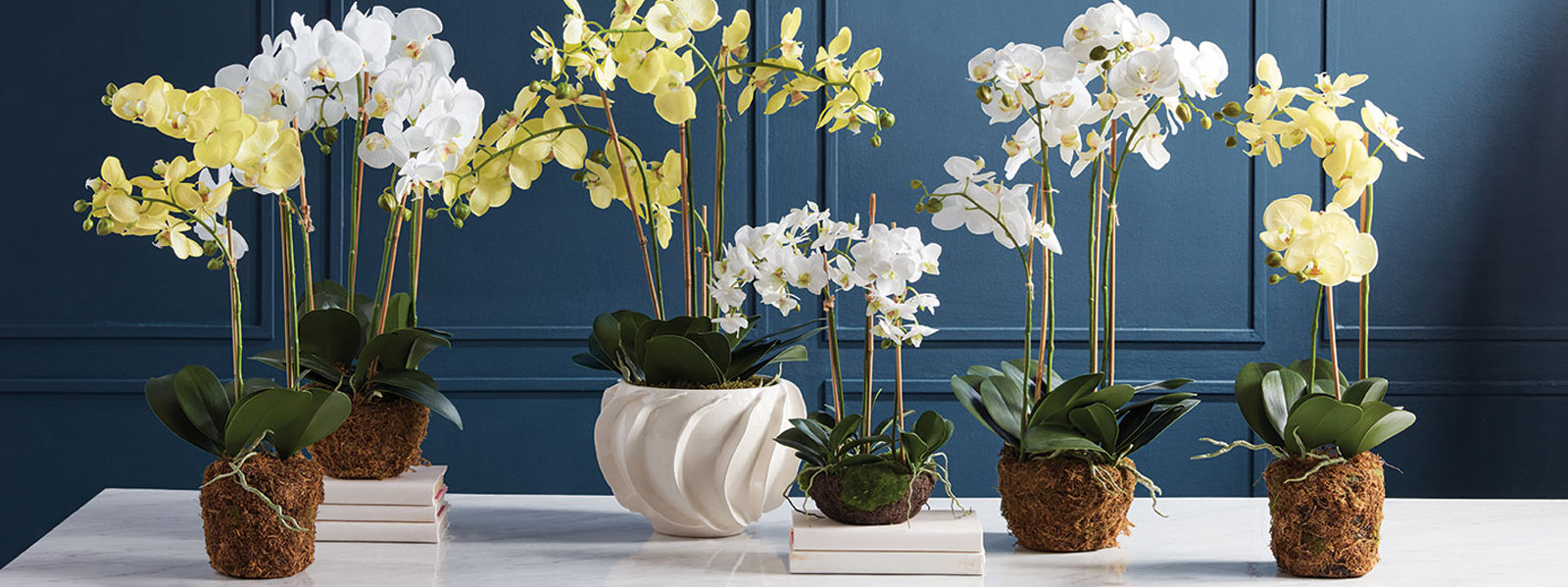 Napa Home and Garden Image Hero