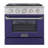 Pro-Style 30 in. 4.2 cu. ft. 4-Burner Freestanding Gas Range with Convection Oven-94094669-50147959