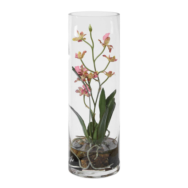 Orchidée rose Mariposa