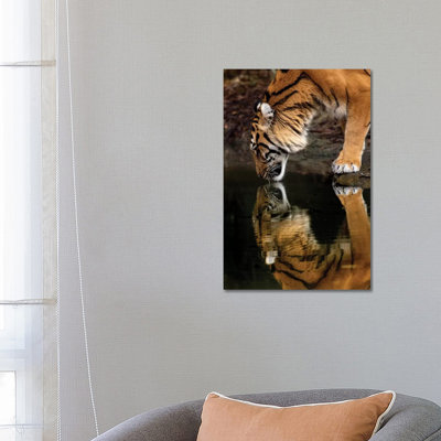 Mirror Mirror by David Whelan - Wrapped Canvas Print