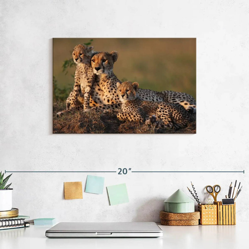Safari guépard famille, H 8 po x l 12 po