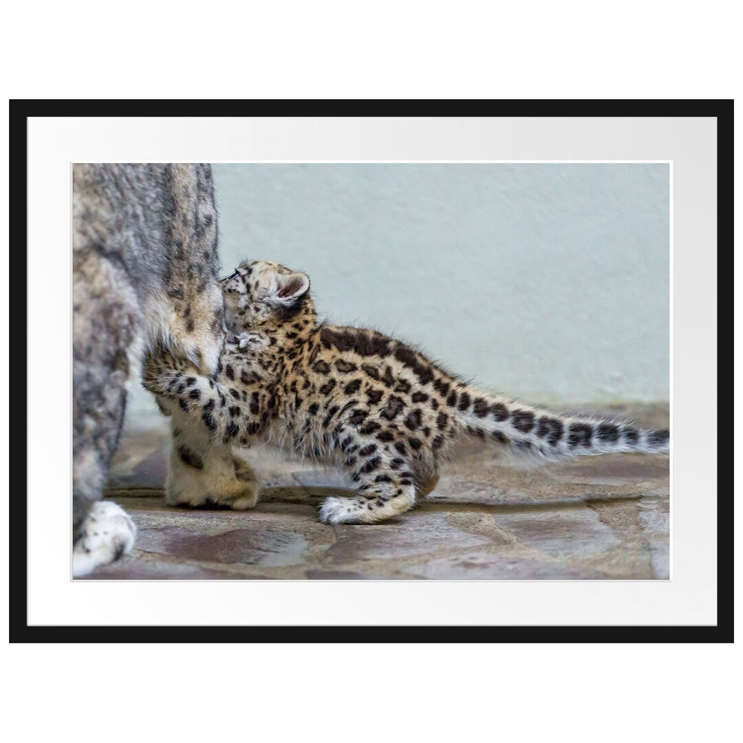 Gerahmtes Poster Kleiner Leopard beim Spielen