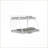 Twin Over Full White Metal Bunk Bed - Sturdy No Box Spring for Bedrooms Dorms Vacation Rentals