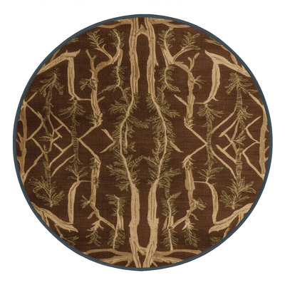 Machine Washable Turkish Brown Area Rug