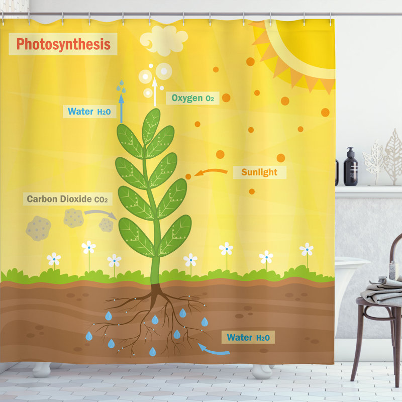 Shower Curtain with Hooks Included, 70"H x 69"W