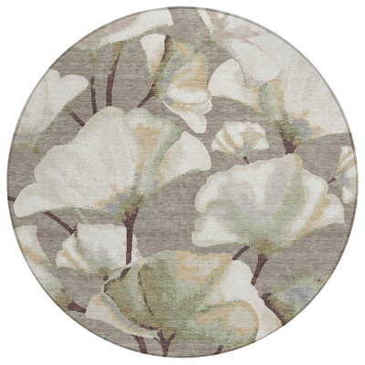 Machine Washable Indoor/Outdoor Raemoore ACN2405 Botanical Rug