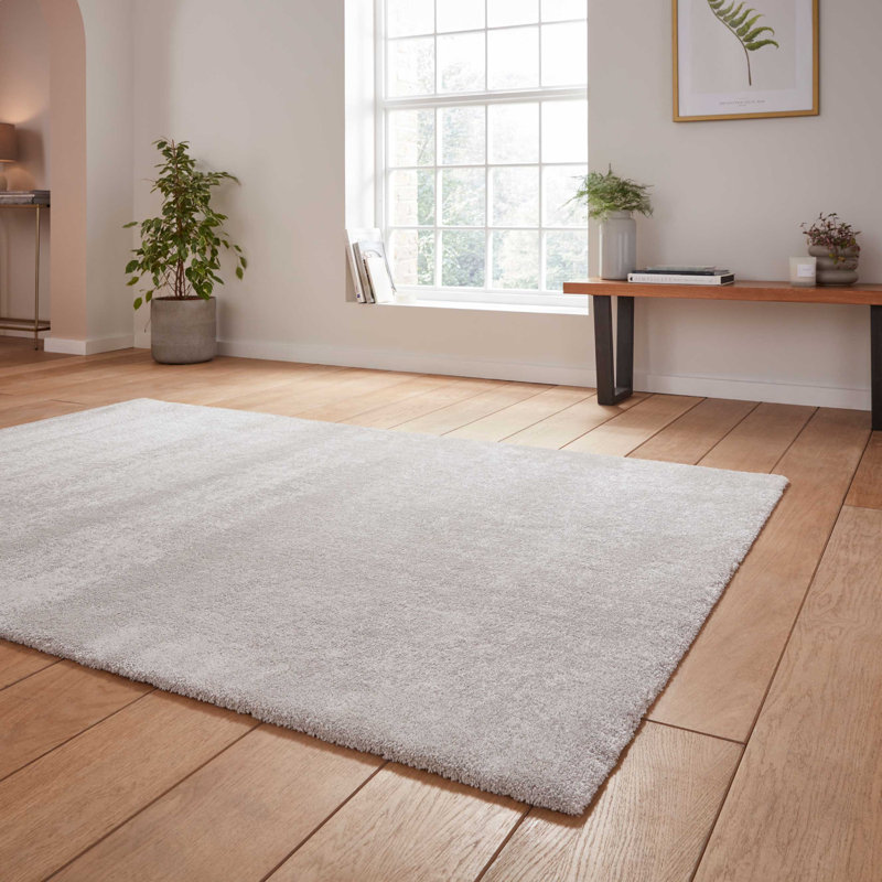 Luisiana area rug Machine Woven Rectangle Silver, Rectangle 120 x 170cm