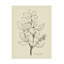 Art sur toile ,ologi-103093531