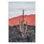 Sunsets And Saguaros by Nathan Larson-79406569-79406483