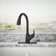 Rival Pull Down Single Handle Kitchen Faucet with Two-Function Sprayhead