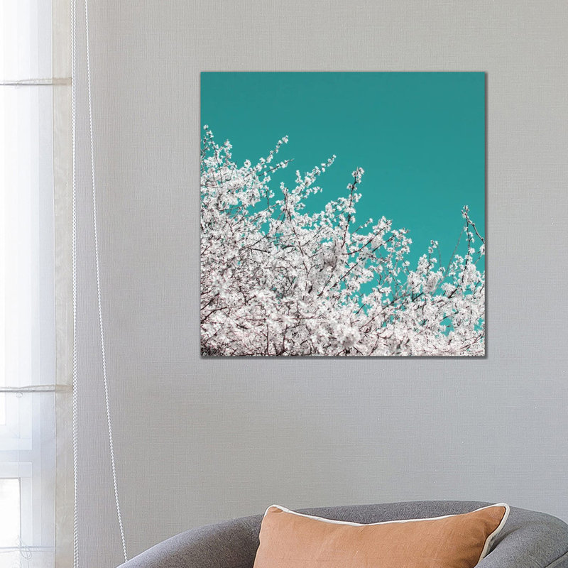 Blossom On Sky by Alyson Fennell - Wrapped Canvas Print, 66.04 cm H x 66.04 cm W x 3.175 cm D