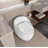 1-Piece 1.28 GPF Single Flush Egg Shape Toilet-117137160