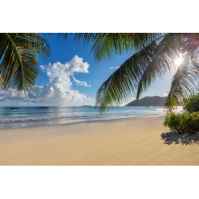 Appley " Tropical Sunny Beach " by Lucky-Photographer