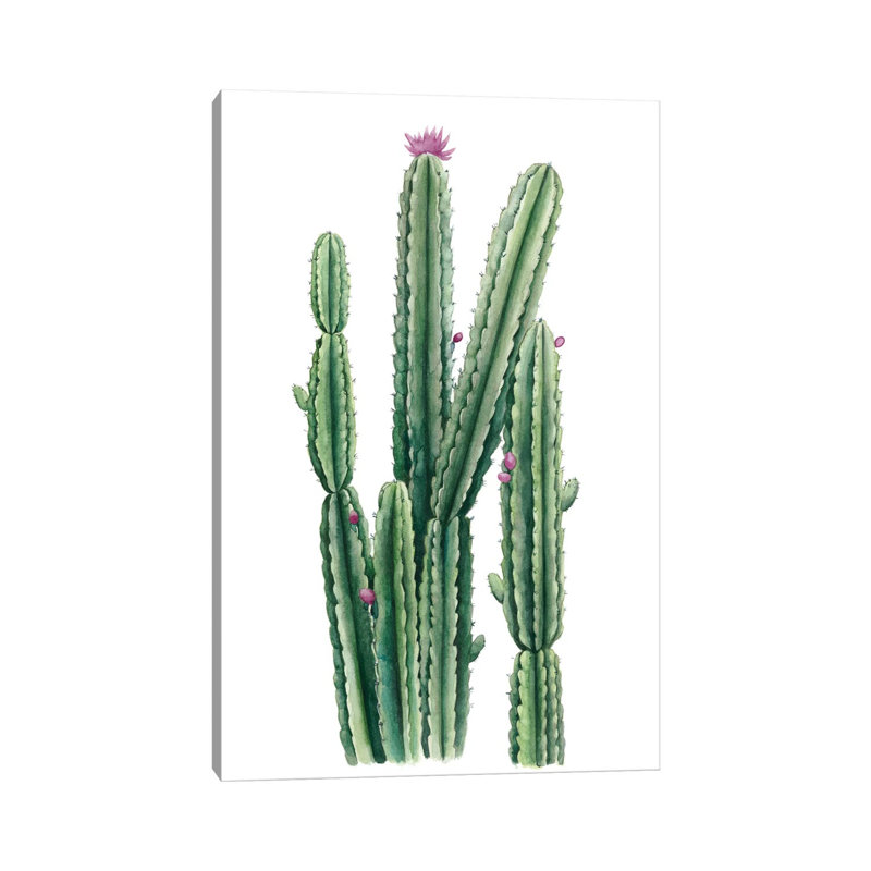 Desert Blooms II by Grace Popp - Wrapped Canvas Painting, 101.6 cm H x 66.04 cm W x 1.91 cm D