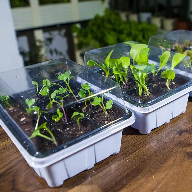 12 Hole Seed Starter Tray Plant Grow Box Nursery Pot Greenhouse Seedling Tray
