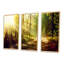 Sun Rays in Misty Old Forest - Ensemble de 3 reproductions encadrées sur toile-999538434-999538437