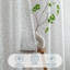 Ensemble de 2 voilages plissés Sleep Zone-116830636-116830644