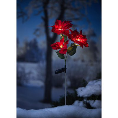 Piquet de jardin Prudance Poinsettia