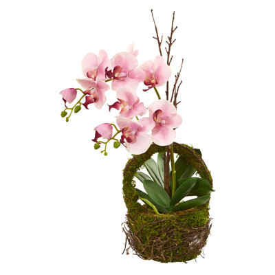 Orchid Arrangement in Basket