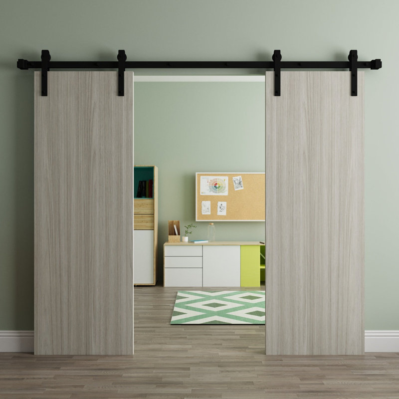 Modern Barn Door - ESSENTIAL 8001 - 6.6FT Rail Track Heavy Hardware Set - Solid Panel Interior Doors, Antique Oak_Silver, 2