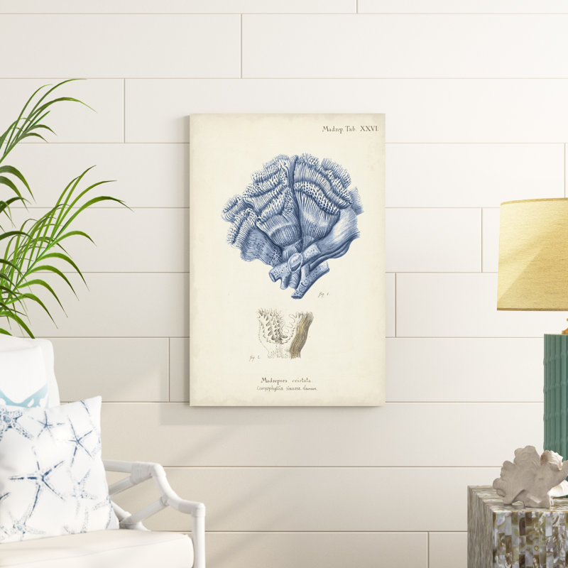 Corail antique en bleu marine II, H 36 po x l 24 po x P 1,25 po