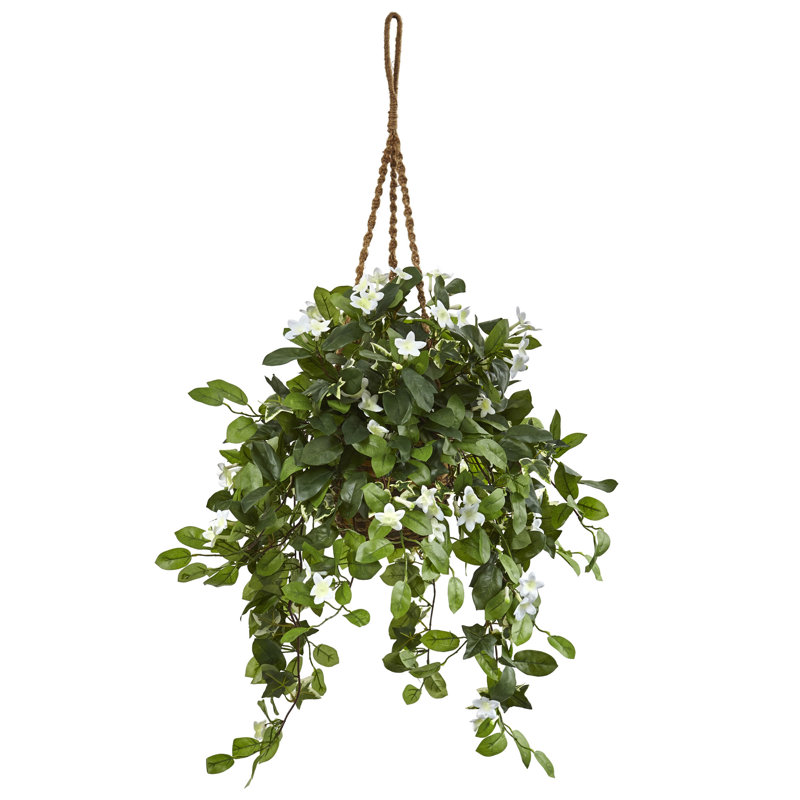 Plante stephanotis artificielle en panier 38"