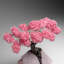 Custom - Genuine Rose Quartz Clustered Gemstone Tree On Rose Quartz Matrix (Unconditional Love Tree)