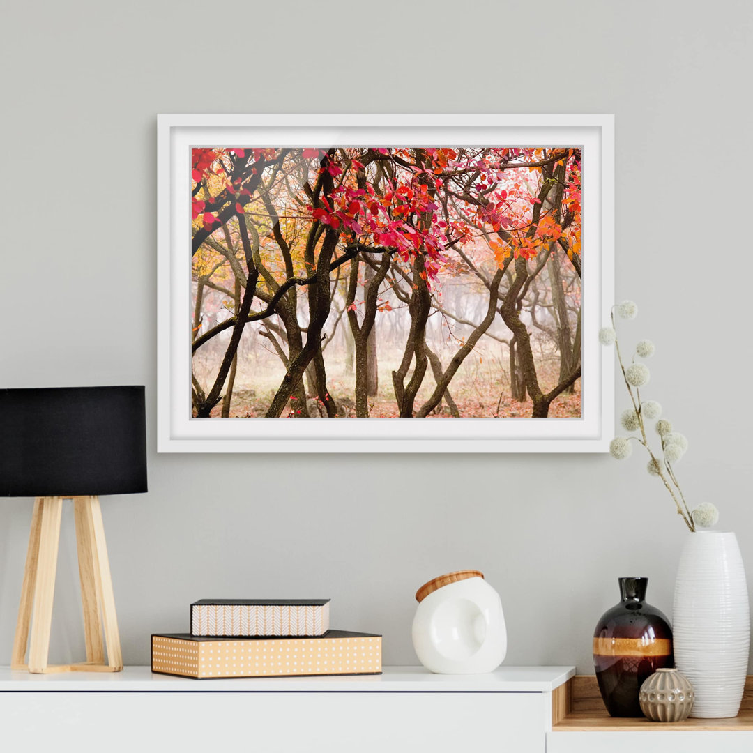 Gerahmtes Papierbild Japan im Herbst