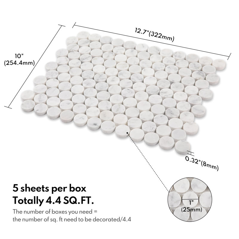 Carrelage mosaïque en marbre blanc de 1 pouce Lovdeco Carrara, Carrara White-Honed-1 Inch Penny