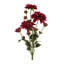 Ensemble de fleurs Dahlia (ensemble de 2)-541423455