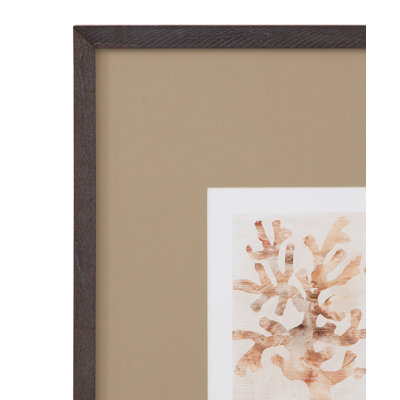 Parchment Coral, ensemble de 4 reproductions encadrées