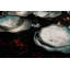 Gemella Porcelain China Dinnerware Set 24 Piece - Service for 6