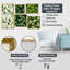 Meka - Ensemble de 5 impressions murales sur plantes-103333532