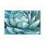 Cerulean Succulent by Nan - Wrapped Canvas Painting-614569733