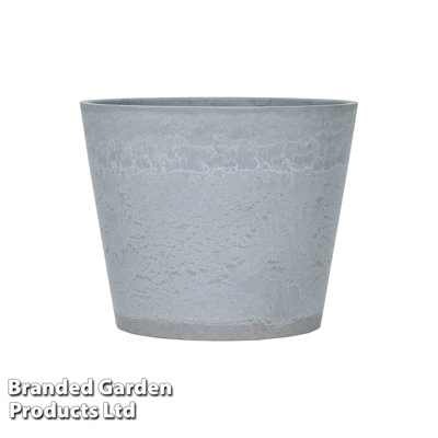 Ceasar Pot Planter
