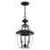 Alexavier 2 - Light Outdoor Hanging Lantern