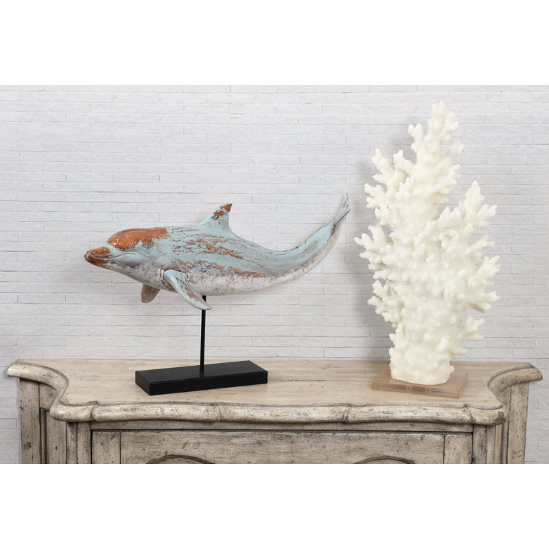 Dauphin nageur sur pied