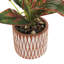 14.1'' Faux Croton Plant in Ceramic Pot