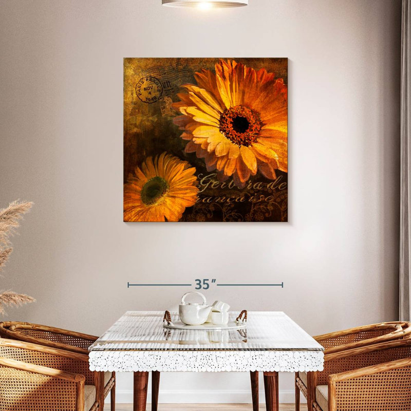 Harnek Gerbera II, H 36 po x l 36 po