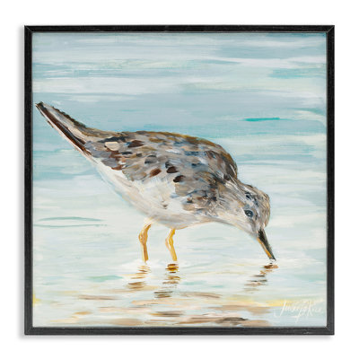 Sandpiper Hunting on Beach Coast Shallow Nautical Waters Graphic Art
